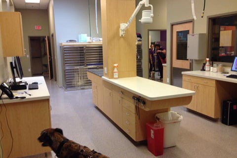 Finan Animal Hospital exam room